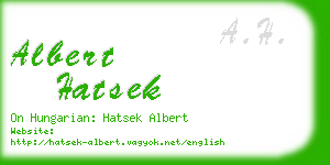 albert hatsek business card